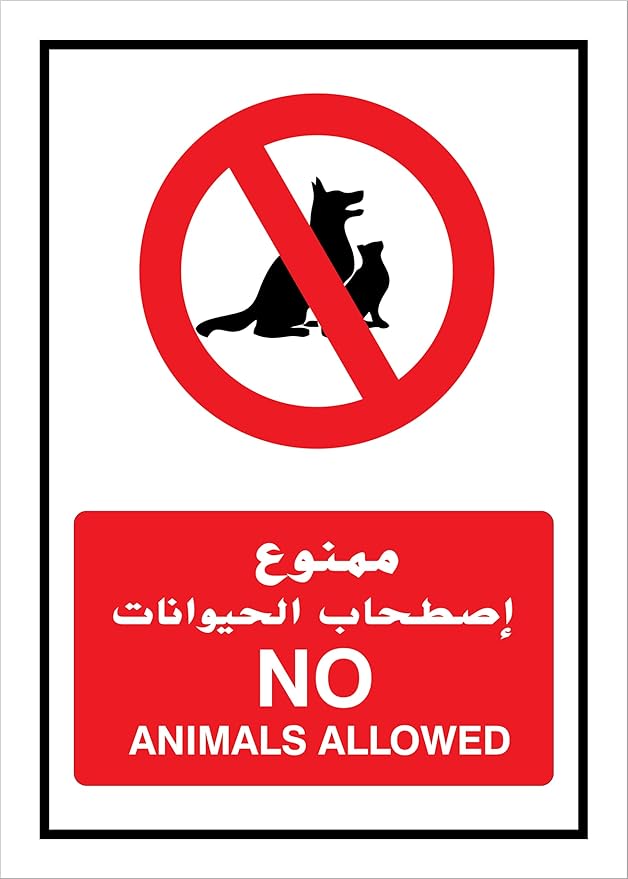 71z3pMZ8GgL._AC_SY879_